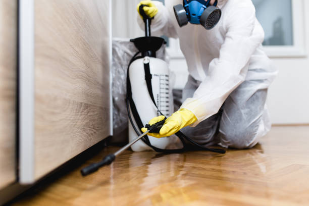 Best Bed Bug Extermination  in Sweet Home, OR