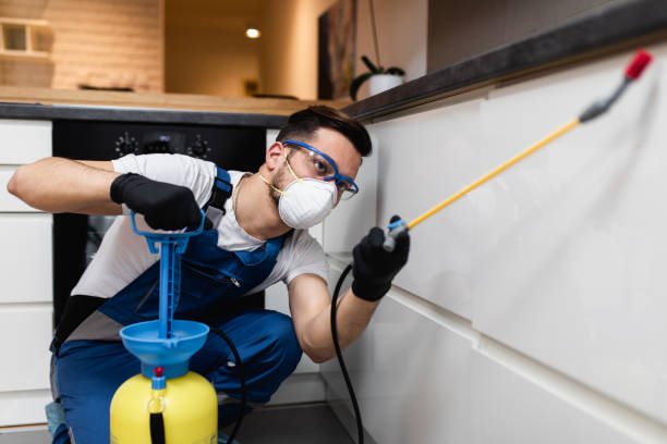 Best Pest Control Near Me  in Sweet Home, OR