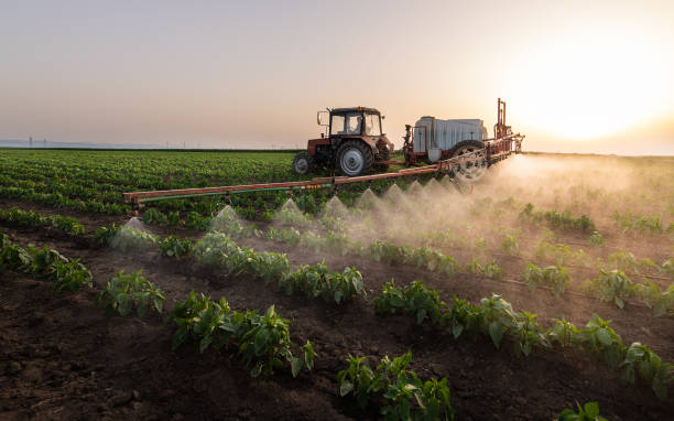 Best Mosquito Control Services  in Sweet Home, OR