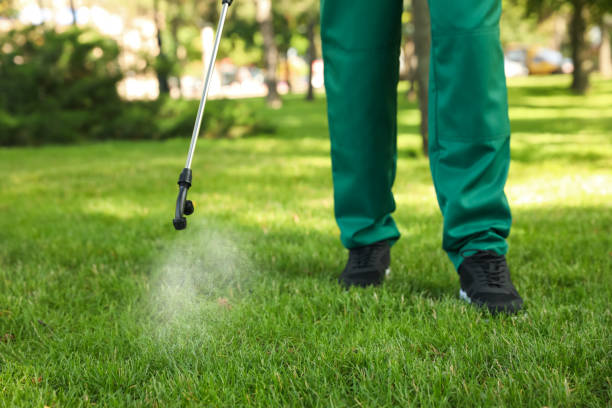 Best Pest Prevention Services  in Sweet Home, OR