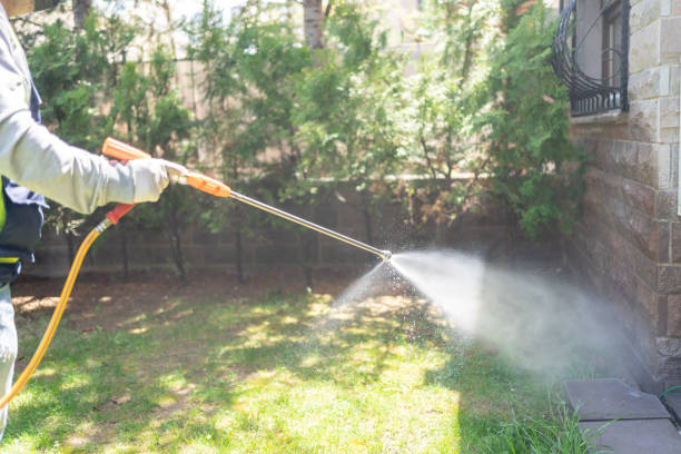 Best Wildlife Control Services  in Sweet Home, OR