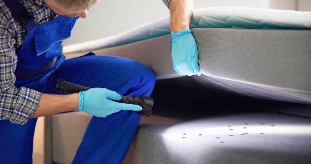 Best Best Pest Control Companies  in Sweet Home, OR